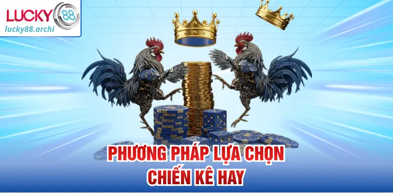 Phương pháp lựa chọn chiến kê hay