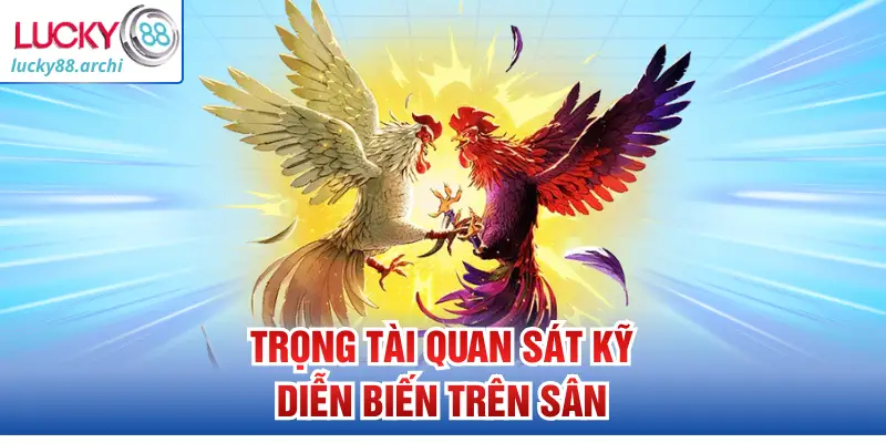 Trọng tài quan sát kỹ diễn biến trên sân